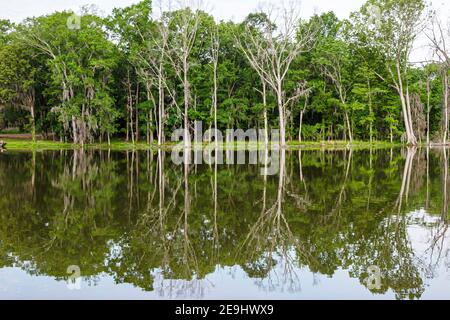 Alabama Montgomery Pike Road le acque progettato comunità di alberi lago, Foto Stock