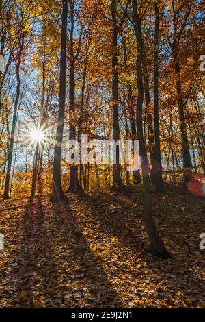 Rockway Falls Conservation Area sedici miglia Creek Lincoln Ontario Canada In inverno Foto Stock