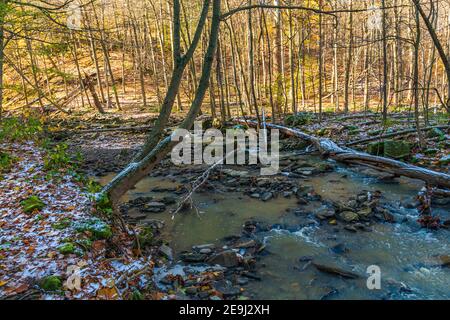 Rockway Falls Conservation Area sedici miglia Creek Lincoln Ontario Canada In inverno Foto Stock