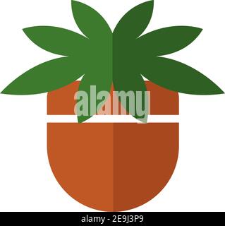 Filodendron pianta in una pentola, illustrazione, vettore su sfondo bianco. Illustrazione Vettoriale