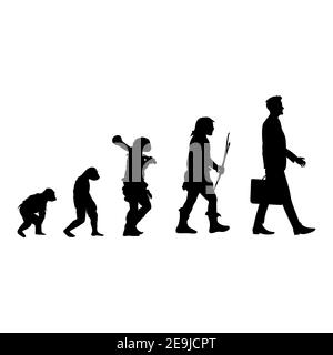Silhouette nera Human Evolution, dalla nuca all'uomo. Vector human silhouette, scimmia e caveman, walking homo grafico evoluzione illustrazione, storia p Illustrazione Vettoriale