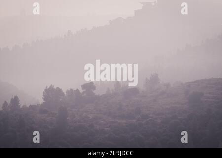 La foresta di Gerusalemme è coperta di nebbia, alberi di pino densamente piantati e boschi naturali Foto Stock