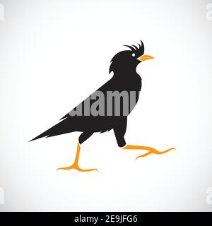 Vettore di acridotheres su sfondo bianco, icona uccello. Illustrazione vettoriale a livelli facilmente modificabile. Animali selvatici. Illustrazione Vettoriale