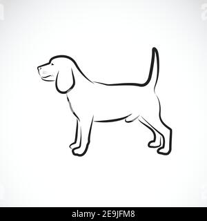 Vettore di un cane beagle su sfondo bianco. PET. Animale. Logo o icona del cane. Illustrazione vettoriale a livelli facilmente modificabile. Illustrazione Vettoriale