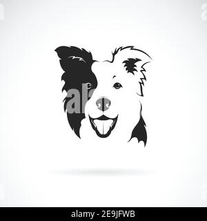 Vettore di un cane collie bordo su sfondo bianco. PET. Animale. Logo o icona del cane. Illustrazione vettoriale a livelli facilmente modificabile. Illustrazione Vettoriale