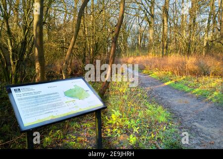 Ingresso allo storico bosco medievale del Bosco del Re a Corby, Inghilterra, durante la chiusura nazionale dovuta alla covid-19, gennaio 2021. Foto Stock