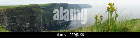 Immagine panoramica delle scogliere di Moher ad ovest Costa d'Irlanda Foto Stock