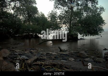 Alberi di mangrovie sull'altra parte della spiaggia di Pantai Indah Kapuk, vicino ad un complesso residenziale nella zona costiera di Giacarta, Indonesia. Foto Stock