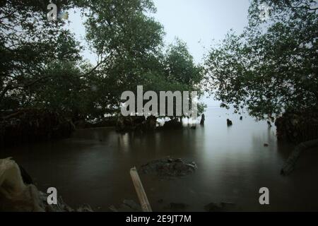 Alberi di mangrovie sull'altra parte della spiaggia di Pantai Indah Kapuk, vicino ad un complesso residenziale nella zona costiera di Giacarta, Indonesia. Foto Stock