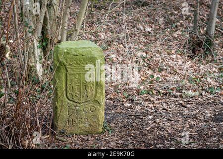 Vecchio marcatore di pietra verde con intemperie numero ottantadue sul Confine dei Paesi Bassi e della Germania vicino a Winterswijk nel Achterhoek Foto Stock