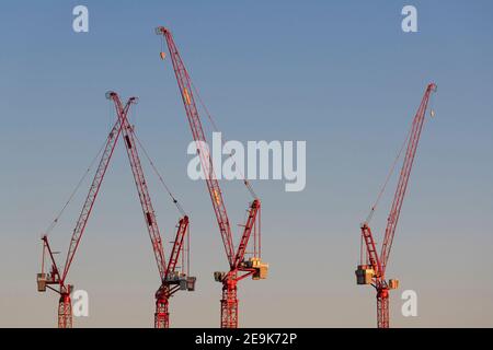 Quattro gru rosse in serata luce su un grande Cantiere nella parte occidentale dei Paesi Bassi Foto Stock