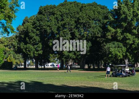 Un gruppo di golfers che giocano la mattina con loro golf cart su un bel prato verde e alberi Foto Stock