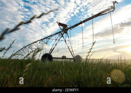 Centrare l'irrigazione dell'acqua di pivot di erba di lucerna su un caseificio. Caseificio che si trova a Warrnambool, Sud-Ovest Victoria, Australia Foto Stock