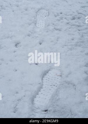 impronte fresche nella neve Foto Stock