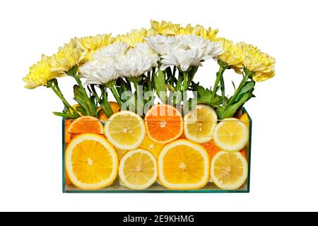 Flora e fauna in un acquario con fette di limone e arancio, isolato su sfondo bianco. Foto Stock