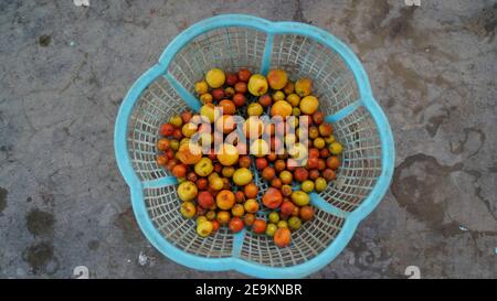 Jujbe indiano o Ber, frutta tropicale che tiene in cestino di plastica. BER conosciuto anche come il jujube indiano, la data cinese di susina indiana, la mela cinese e le dunks. Foto Stock