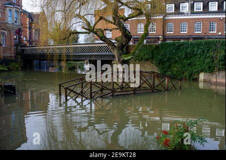 Eton, Windsor, Berkshire, Regno Unito. 5 febbraio 2021. I giardini Barnes Pool sotto il ponte Barnes Pool sono allagati. Un allerta alluvione rimane sul Tamigi sul tratto di Windsor ed Eton nel Berkshire a seguito di un accumulo di forti piogge negli ultimi giorni. La riduzione del diluvio del fiume Jubliee è in funzione, che prende le acque alluvionali in eccesso dal Tamigi e protegge le case dalle inondazioni. Credit: Maureen McLean/Alamy Live News Foto Stock