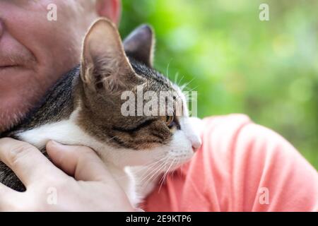 l'uomo adulto tiene un gatto tra le braccia, lo tiene a sé, amore per gli animali domestici Foto Stock