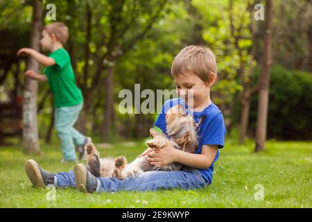 il ragazzo gioioso sta stracciando il ventre del suo piccolo cane Foto Stock