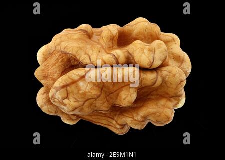 Juglans regia, noce comune, Walnuss, Nussbaum, primo piano, seme (noce) Foto Stock