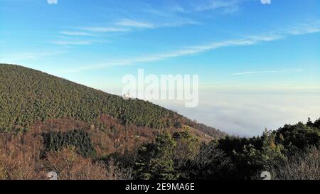 Palatinato foresta con il castello di Hambach sullo sfondo (Germania) Foto Stock