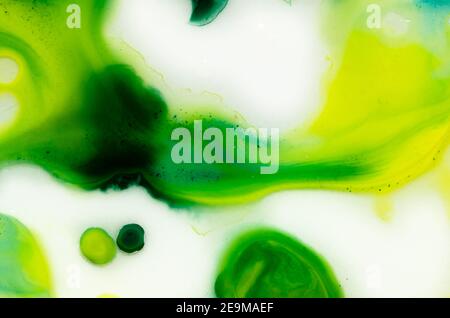 I colori acquarelli luminosi liquidi con olio generano strutture fluide e bolle in verde, blu, giallo, bianco e oro Foto Stock