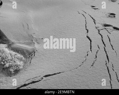 New Jersey Shore immagini in bianco e nero di recinzioni e motivi di neve. Le immagini mostrano l'effetto del vento pesante e delle piogge lungo la riva. Foto Stock