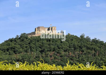 Vista dalle vigne all'Haardt con il Castello di Hambach Sullo sfondo (Germania) Foto Stock