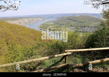 La famosa ansa del Reno (Rheinschleife) vicino a Boppard, Renania-Palatinato, Germania Foto Stock