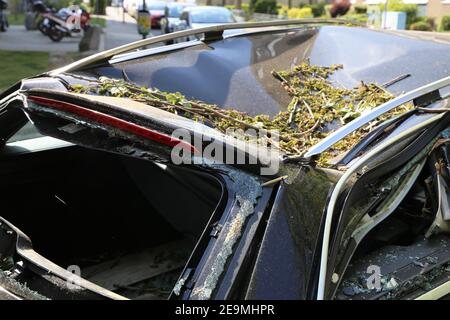 Immagine simbolo: Nuova auto con perdita totale dopo tempesta Foto Stock