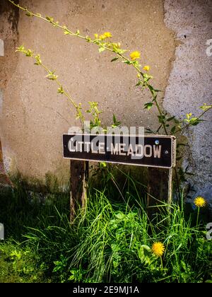 Nome della strada nell'Hampshire Inghilterra, con i dandelions che crescono intorno esso. Foto Stock