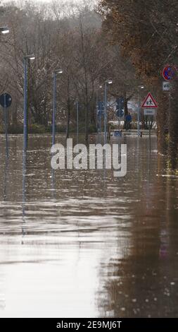 Il parco sul fiume meno a Mainz-Kastel è inondato da inondazioni Foto Stock