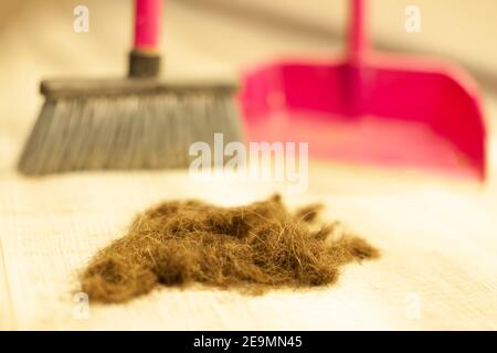 Capelli umani dopo il taglio sul pavimento di un barbiere. Parrucchiere che spazzano i capelli ritagli sul pavimento nel salone di bellezza. Foto Stock