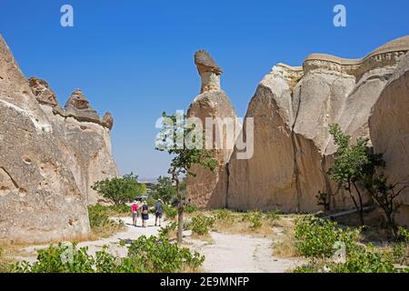 Camini di fata / hoodoos nel Parco Nazionale di Göreme, Cappadocia, Provincia di Nevşehir in Anatolia Centrale, Turchia Foto Stock