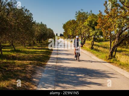 Strunian, Slovenia - Settembre, 19: Ciclista Mountain Bike cavalcando la pista di campagna accanto al groove di olive il 19 settembre 2020 Foto Stock