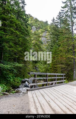 Ponte di legno sul fiume selvaggio in una lussureggiante foresta di conifere nella valle di Strazyska nei Monti Tatra, Polonia. Foto Stock