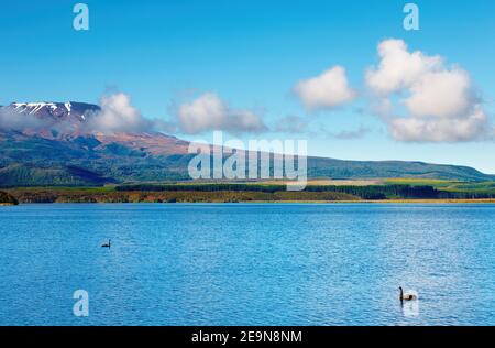 Paesaggio di montagna con bellissimo lago, Nuova Zelanda Foto Stock