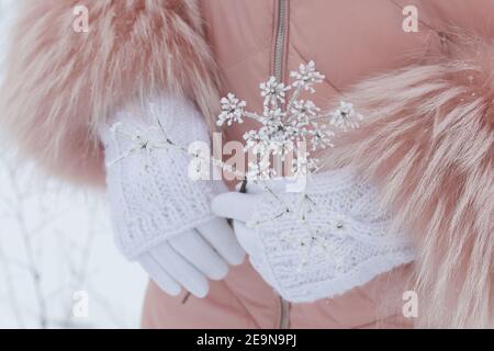 Una donna in guanti bianchi tiene in mano una pianta secca. La pianta è coperta di gelo. Foto Stock