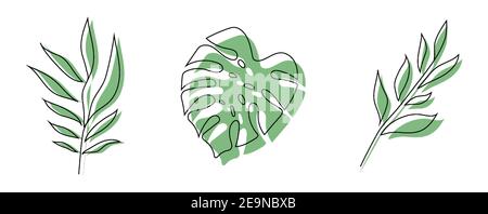 Collezione di foglie tropicali, set di esotico fogliame tropicale hawaiano. Illustrazione vettoriale isolato su sfondo bianco Illustrazione Vettoriale