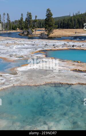 Nord America, Wyoming, Parco Nazionale di Yellowstone, Biscuit Basin, piscina Black Diamond. Foto Stock