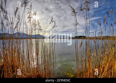 DE - BAVARIA: Spatzenpointweiher (Stagno del Passero) a Loisach Moor a Benediktbeuern Foto Stock