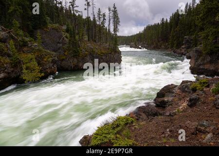Il fiume Yellowstone attraversa rocce vulcaniche erose sulla strada per le Upper Falls. Parco nazionale di Yellowstone, Wyoming Foto Stock
