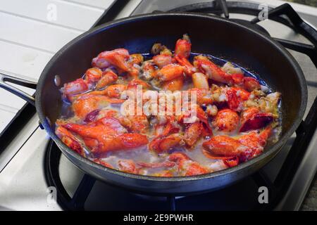 Salate la carne di aragosta in una padella Foto Stock