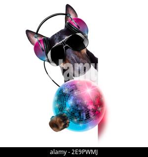 DJ bull terrier cane giocare musica in un club con disco palla, isolato su sfondo bianco, dietro banner o placard Foto Stock