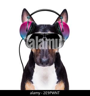 DJ bull terrier cane che suona musica in un club con disco palla, isolato su sfondo bianco Foto Stock