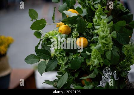 Nel giardino, i limoni gialli crescono su una macchia verde. Sfondo da piante. Frutta biologica naturale coltivata. Vitami C, succo di agrumi. Spazio di copia. Foto Stock