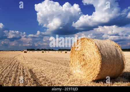 Balle di paglia su un campo sotto il cielo blu con le nuvole Foto Stock