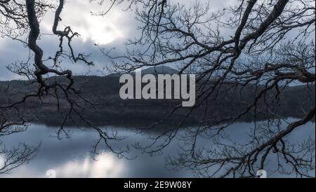 Guardando attraverso Loch Lochy nell'inverno 002 Foto Stock