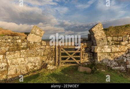 La porta nord di Milecastle 37 su Housesteads Crags, il Muro di Adriano, Northumberland Foto Stock