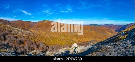 Foresta d'autunno a Karandila montagna in Bulgaria Foto Stock